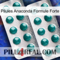 Anaconda Strong Formula Pills dapoxetine2